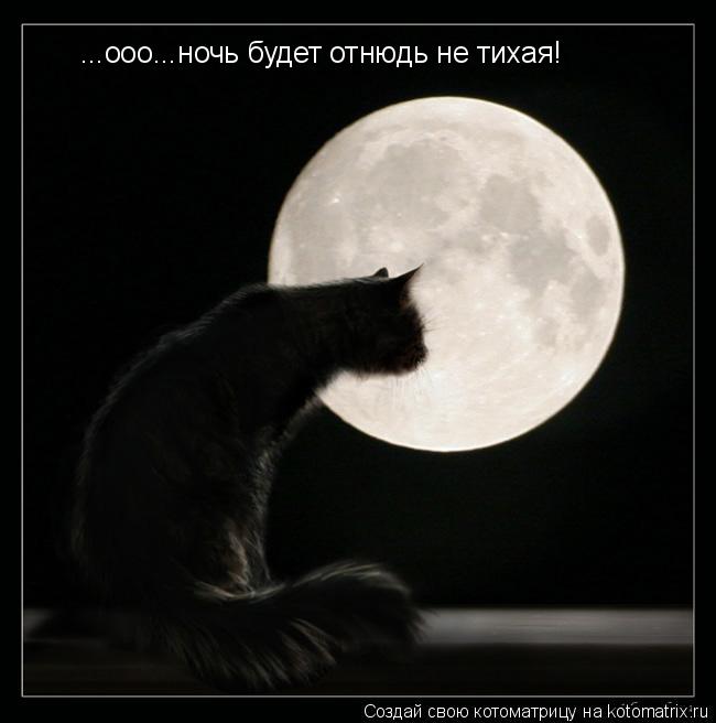 ...ооо...ночь будет отнюдь не тихая!... Котоматрица: ...ооо...ночь будет отнюдь не тихая!