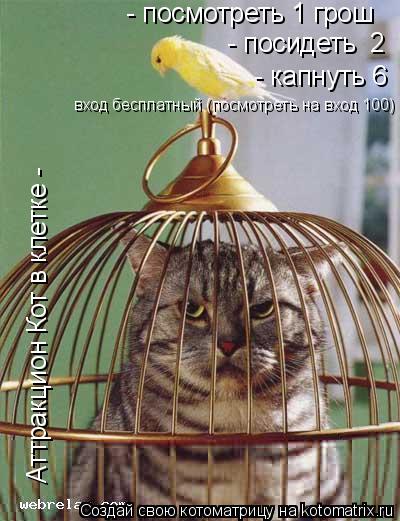 Аттракцион Кот в клетке - - посмотреть 1 грош - посидеть 2 - капнуть 6 вход бесплатный (посмо... Котоматрица: Аттракцион Кот в клетке - - посмотреть 1 грош - посидеть 2 - капнуть 6 вход бесплатный (посмотреть на вход 100)