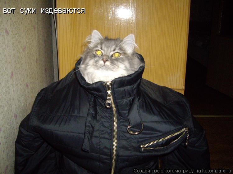 Котоматрица: вот  суки  издеваются