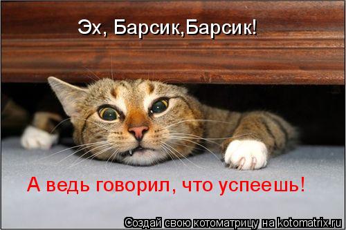 Эх, Барсик,Барсик! А ведь говорил, что успеешь!... Котоматрица: Эх, Барсик,Барсик! А ведь говорил, что успеешь!