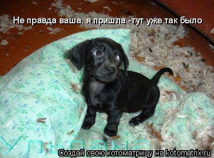 Не правда ваша, я пришла -тут уже так было... Котоматрица: Не правда ваша, я пришла -тут уже так было