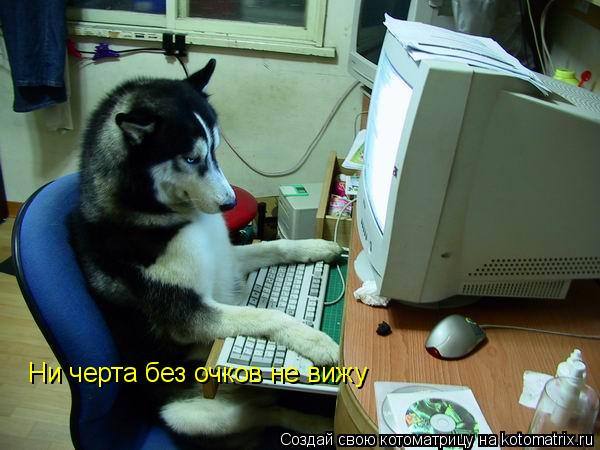 Котоматрица: Ни черта без очков не вижу