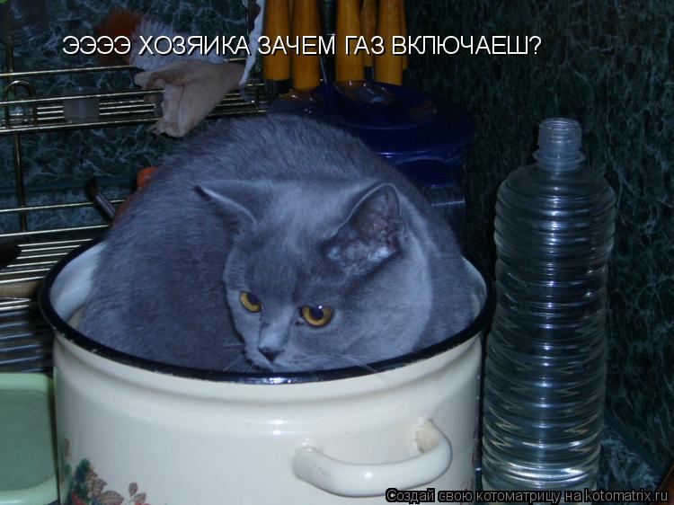 ЭЭЭЭ ХОЗЯИКА ЗАЧЕМ ГАЗ ВКЛЮЧАЕШ?... Котоматрица: ЭЭЭЭ ХОЗЯИКА ЗАЧЕМ ГАЗ ВКЛЮЧАЕШ?