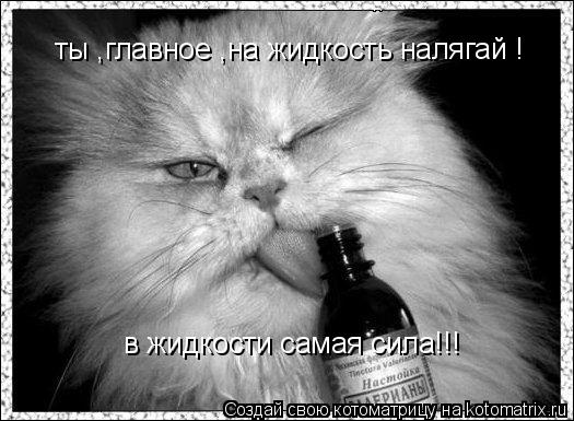 Котоматрица: ты ,главное ,на жидкость налягай ! в жидкости самая сила!!!