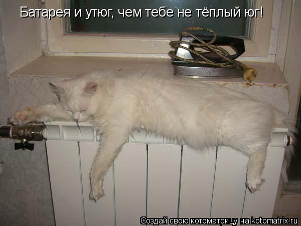 Батарея и утюг, чем тебе не тёплый юг!... Котоматрица: Батарея и утюг, чем тебе не тёплый юг!