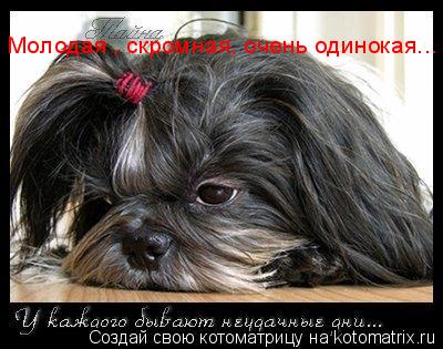 Молодая , скромная, очень одинокая...... Котоматрица: Молодая , скромная, очень одинокая...