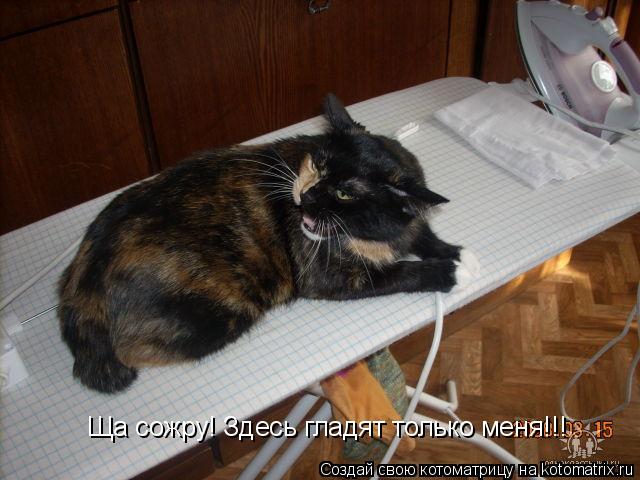 Ща сожру! Здесь гладят только меня!!!... Котоматрица: Ща сожру! Здесь гладят только меня!!!