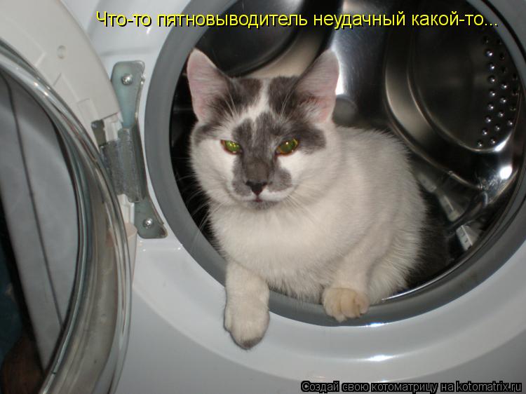 Что-то пятновыводитель неудачный какой-то...... Котоматрица: Что-то пятновыводитель неудачный какой-то...