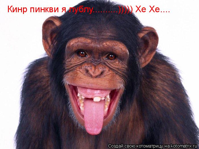 Котоматрица: Кинр пинкви я лублу..........))))) Хе Хе....