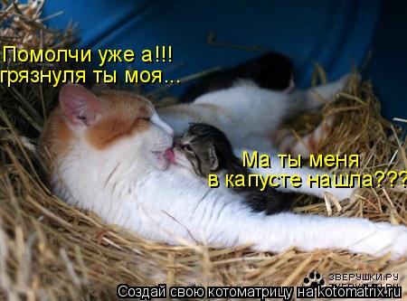 Котоматрица: Ма ты меня  в капусте нашла??? Помолчи уже а!!! грязнуля ты моя...