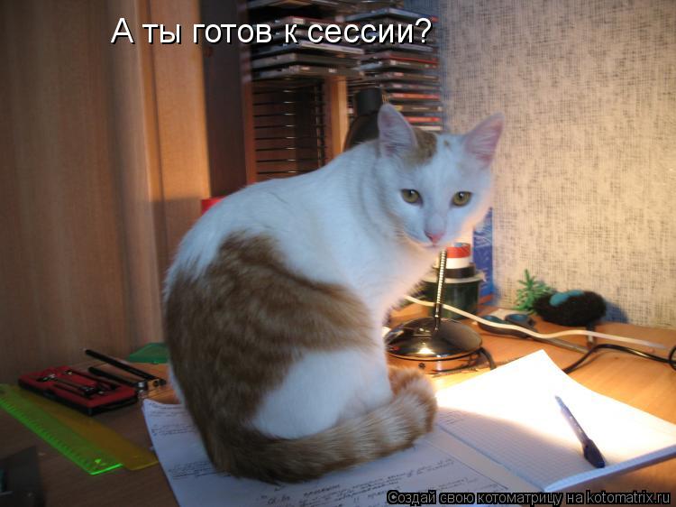 Котоматрица: А ты готов к сессии?