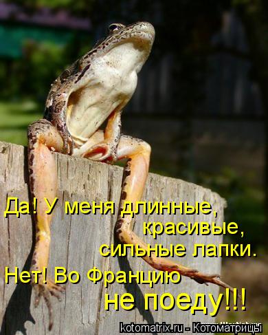 Да! У меня длинные, красивые, сильные лапки. Нет! Во Францию не поеду!!!... Котоматрица: Да! У меня длинные, красивые, сильные лапки. Нет! Во Францию не поеду!!!