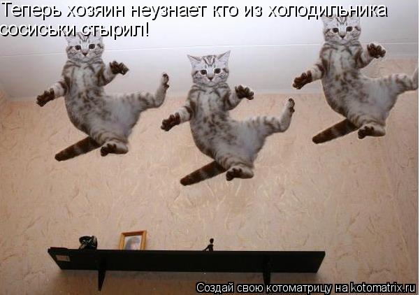 Теперь хозяин неузнает кто из холодильника сосиськи стырил!... Котоматрица: Теперь хозяин неузнает кто из холодильника сосиськи стырил!