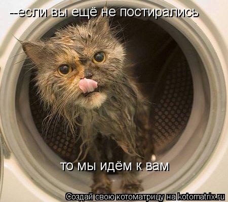 --если вы ещё не постирались то мы идём к вам... Котоматрица: --если вы ещё не постирались то мы идём к вам