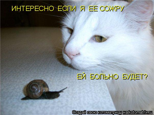 ИНТЕРЕСНО ЕСЛИ Я ЕЕ СОЖРУ ЕЙ БОЛЬНО БУДЕТ?... Котоматрица: ИНТЕРЕСНО ЕСЛИ Я ЕЕ СОЖРУ ЕЙ БОЛЬНО БУДЕТ?