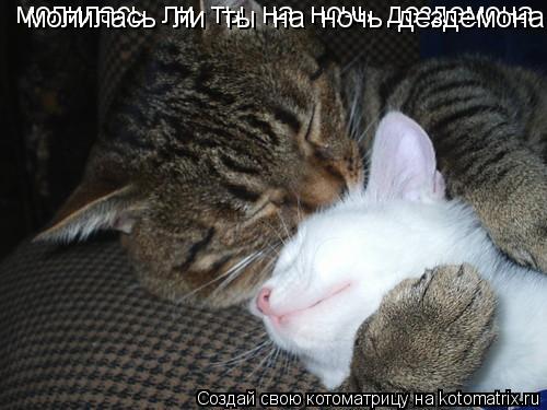 молилась ли ты на ночь дездемона молилась ли ты на ночь дездемона... Котоматрица: молилась ли ты на ночь дездемона молилась ли ты на ночь дездемона