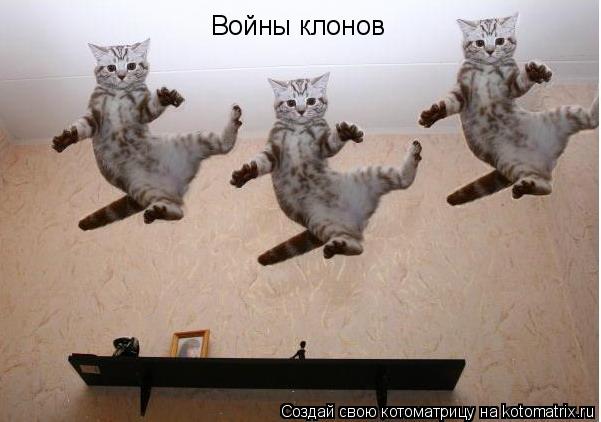 Войны клонов... Котоматрица: Войны клонов