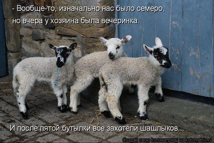 - Вообще-то, изначально нас было семеро, но вчера у хозяина была вечеринка. И после пятой бутылки все... Котоматрица: - Вообще-то, изначально нас было семеро, но вчера у хозяина была вечеринка. И после пятой бутылки все захотели шашлыков...