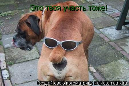 Это твоя участь тоже!... Котоматрица: Это твоя участь тоже!