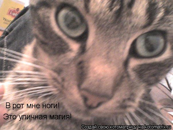 В рот мне ноги! Это уличная магия!... Котоматрица: В рот мне ноги! Это уличная магия!