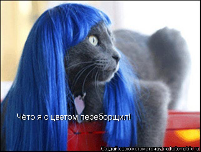 Котоматрица: Чёто я с цветом переборщил!