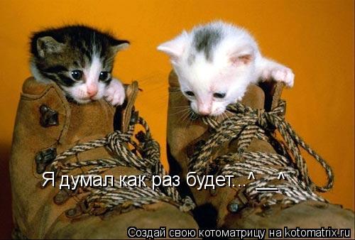 Я думал как раз будет...^__^... Котоматрица: Я думал как раз будет...^__^