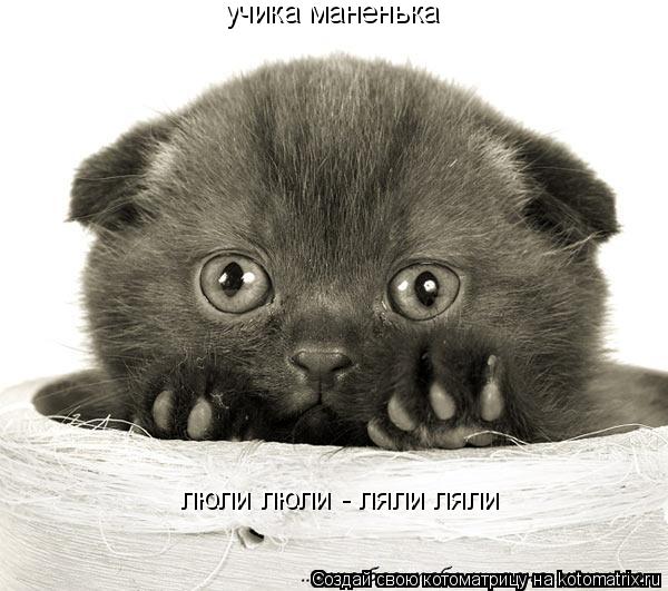 учика маненька люли люли - ляли ляли... Котоматрица: учика маненька люли люли - ляли ляли