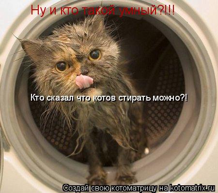 Ну и кто такой умный?!!! Кто сказал что котов стирать можно?!... Котоматрица: Ну и кто такой умный?!!! Кто сказал что котов стирать можно?!