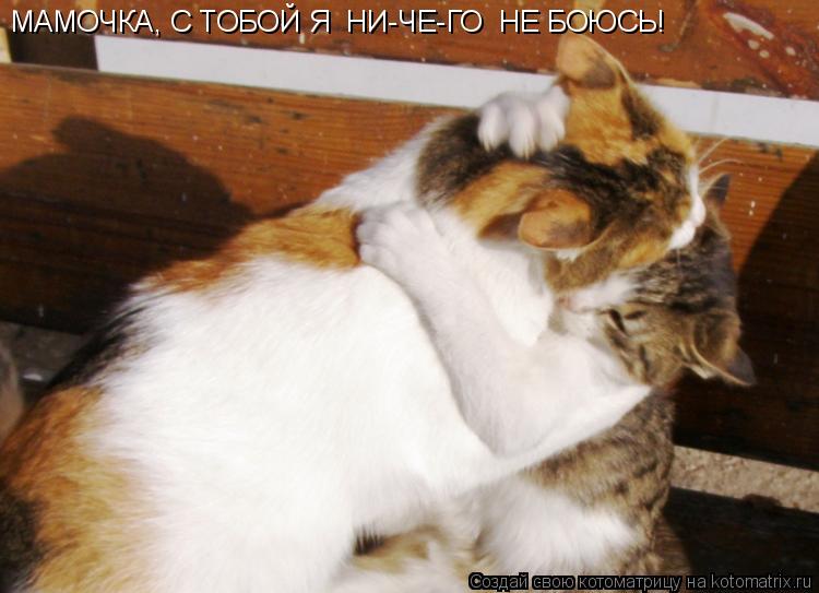Котоматрица: МАМОЧКА, С ТОБОЙ Я  НИ-ЧЕ-ГО  НЕ БОЮСЬ!