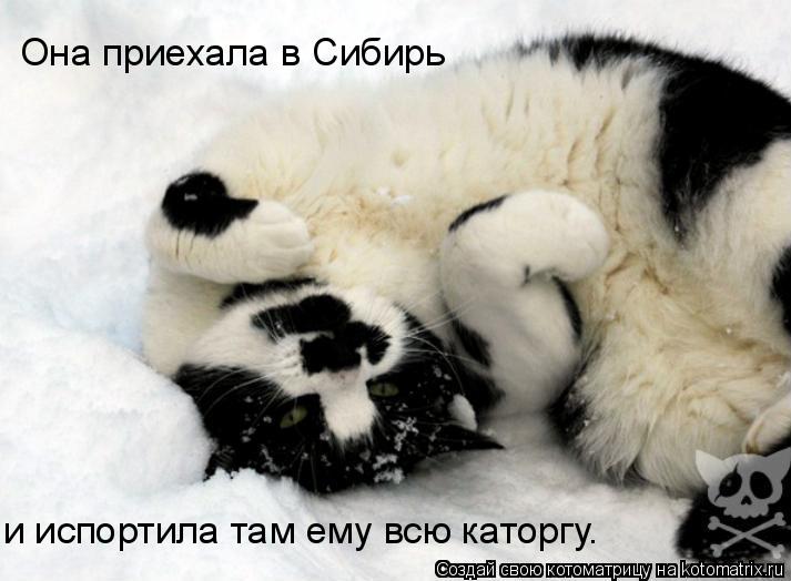 Она приехала в Сибирь и испортила там ему всю каторгу.... Котоматрица: Она приехала в Сибирь и испортила там ему всю каторгу.