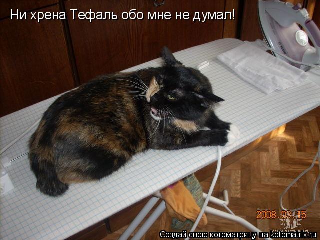 Ни хрена Тефаль обо мне не думал!... Котоматрица: Ни хрена Тефаль обо мне не думал!