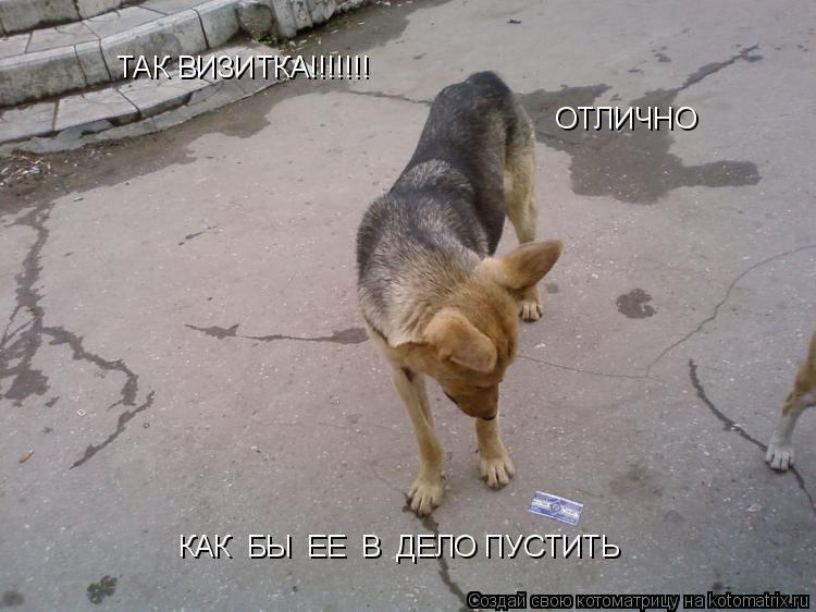 ТАК ВИЗИТКА!!!!!!! ОТЛИЧНО КАК БЫ ЕЕ В ДЕЛО ПУСТИТЬ... Котоматрица: ТАК ВИЗИТКА!!!!!!! ОТЛИЧНО КАК БЫ ЕЕ В ДЕЛО ПУСТИТЬ