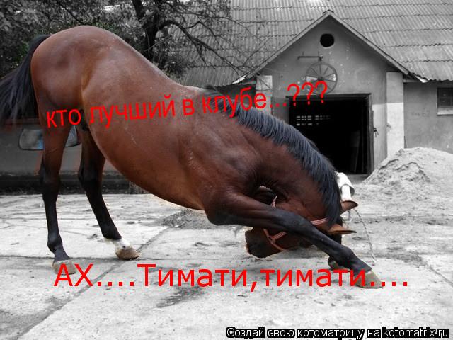 Котоматрица: кто лучший в клубе...??? АХ....Тимати,тимати....
