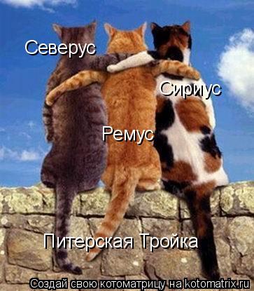 Ремус Северус Сириус Питерская Тройка... Котоматрица: Ремус Северус Сириус Питерская Тройка