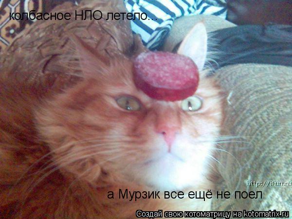 Котоматрица: колбасное НЛО летело... а Мурзик все ещё не поел