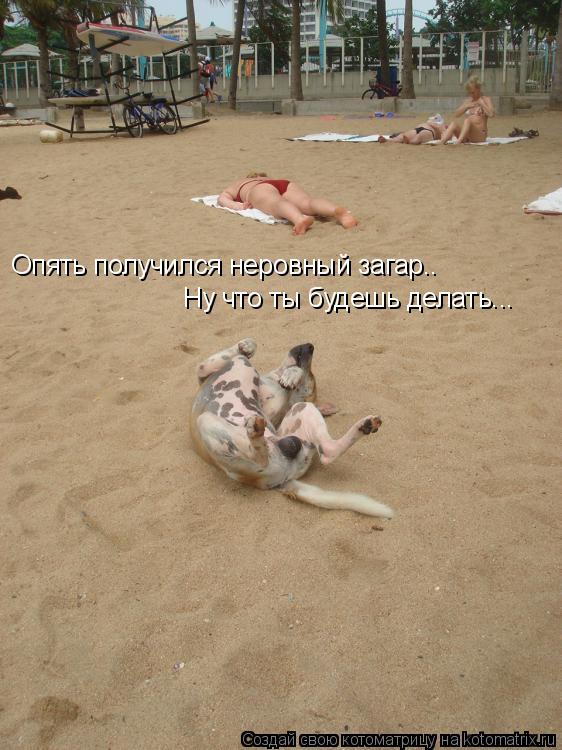 Опять получился неровный загар.. Ну что ты будешь делать...... Котоматрица: Опять получился неровный загар.. Ну что ты будешь делать...