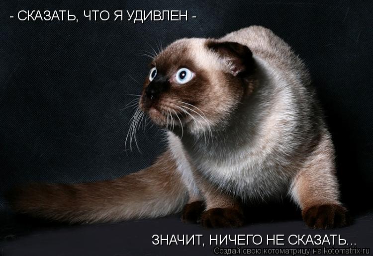 - СКАЗАТЬ, ЧТО Я УДИВЛЕН - ЗНАЧИТ, НИЧЕГО НЕ СКАЗАТЬ...... Котоматрица: - СКАЗАТЬ, ЧТО Я УДИВЛЕН - ЗНАЧИТ, НИЧЕГО НЕ СКАЗАТЬ...