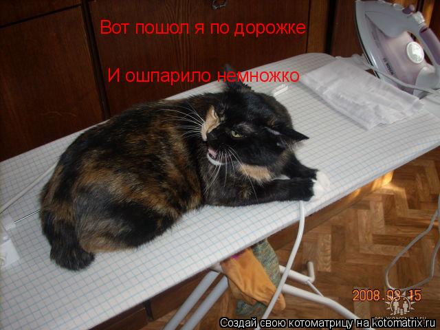 Вот пошол я по дорожке И ошпарило немножко... Котоматрица: Вот пошол я по дорожке И ошпарило немножко