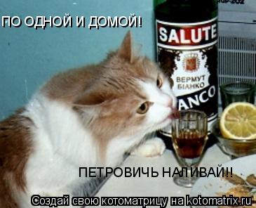 ПО ОДНОЙ И ДОМОЙ! ПЕТРОВИЧЬ НАЛИВАЙ!!... Котоматрица: ПО ОДНОЙ И ДОМОЙ! ПЕТРОВИЧЬ НАЛИВАЙ!!