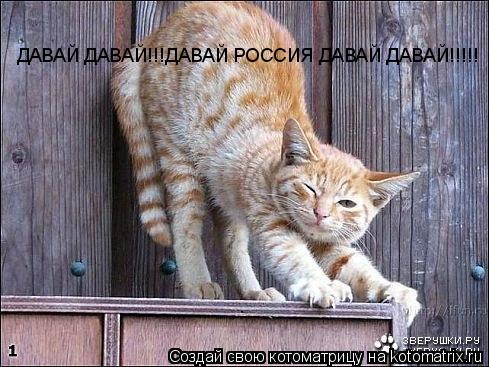 ДАВАЙ ДАВАЙ!!!ДАВАЙ РОССИЯ ДАВАЙ ДАВАЙ!!!!!... Котоматрица: ДАВАЙ ДАВАЙ!!!ДАВАЙ РОССИЯ ДАВАЙ ДАВАЙ!!!!!