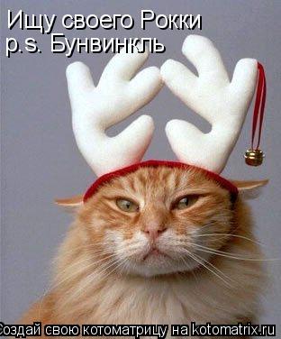 Ищу своего Рокки p.s. Бунвинкль... Котоматрица: Ищу своего Рокки p.s. Бунвинкль