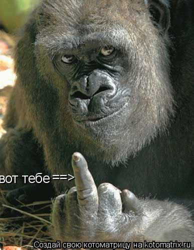 вот тебе ==>... Котоматрица: вот тебе ==>