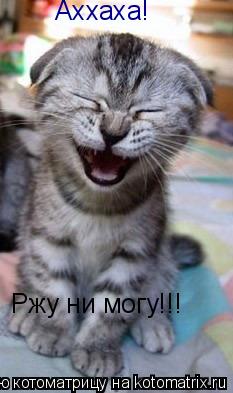 Аххаха! Ржу ни могу!!!... Котоматрица: Аххаха! Ржу ни могу!!!