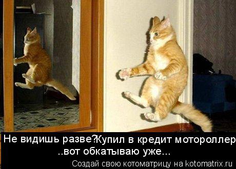 Котоматрица: Не видишь разве? Купил в кредит мотороллер... ..вот обкатываю уже...