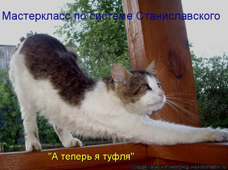 Мастеркласс по системе Станиславского "А теперь я туфля"... Котоматрица: Мастеркласс по системе Станиславского "А теперь я туфля"