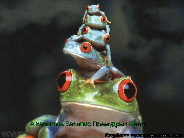 А казалось Василис Премудрых мало!... Котоматрица: А казалось Василис Премудрых мало!