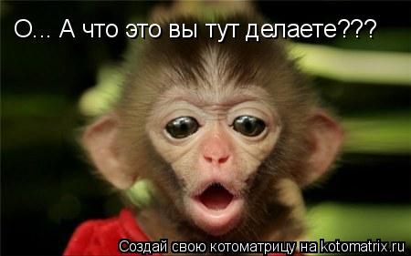 О... А что это вы тут делаете???... Котоматрица: О... А что это вы тут делаете???