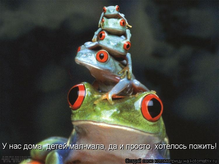 У нас дома, детей мал-мала, да и просто, хотелось пожить!... Котоматрица: У нас дома, детей мал-мала, да и просто, хотелось пожить!