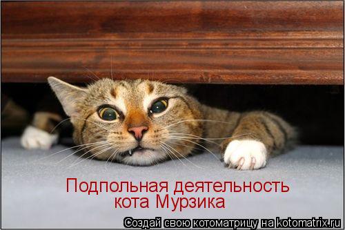 Подпольная деятельность кота Мурзика... Котоматрица: Подпольная деятельность кота Мурзика