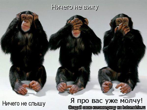 Ничего не вижу Ничего не слышу Ничего не слышу Я про вас уже молчу!... Котоматрица: Ничего не вижу Ничего не слышу Ничего не слышу Я про вас уже молчу!